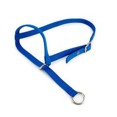 Bainbridge Halter Leading Calf - Blue