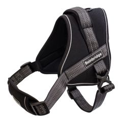 Sport Harness Adjustable Padded - Various Sizes -Medium