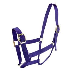 Bainbridge Horse Halter - Full Purple