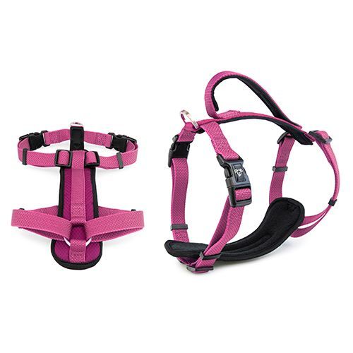 Sport dog hotsell harness set